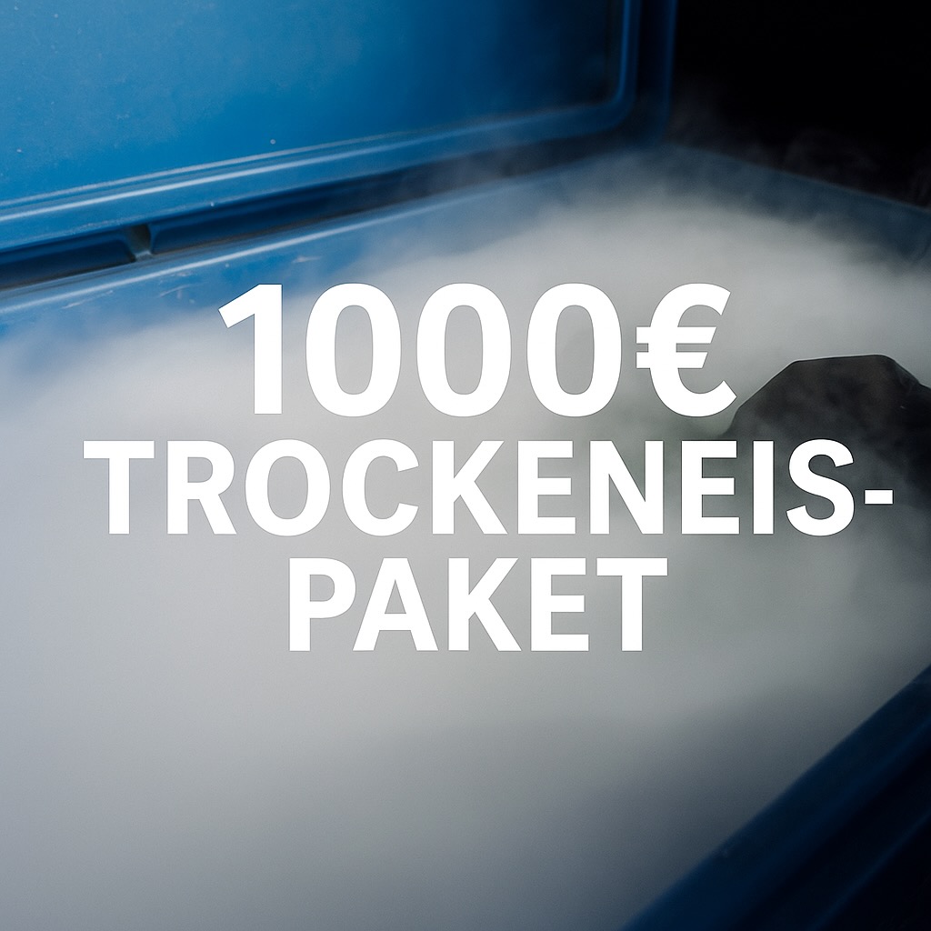 1000 € Trockeneis-Paket – Unterbodenreinigung mit Trockeneis bei Mozart Car Classics.